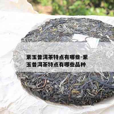 紫玉普洱茶特点有哪些-紫玉普洱茶特点有哪些品种