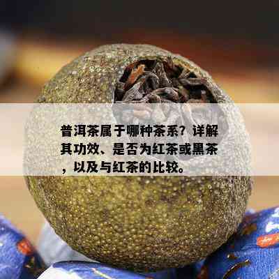 普洱茶属于哪种茶系？详解其功效、是否为红茶或黑茶，以及与红茶的比较。