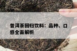 普洱茶回归饮料：品种、口感全面解析