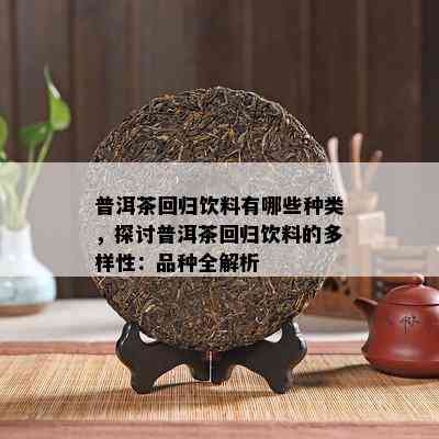 普洱茶回归饮料有哪些种类，探讨普洱茶回归饮料的多样性：品种全解析