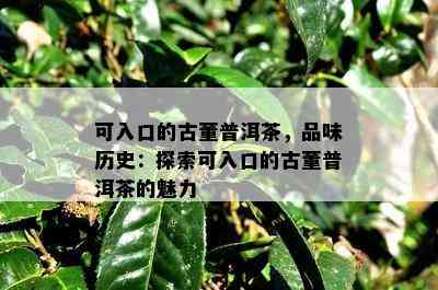 可入口的古董普洱茶，品味历史：探索可入口的古董普洱茶的魅力