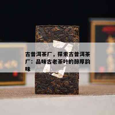 古普洱茶厂，探索古普洱茶厂：品味古老茶叶的醇厚韵味