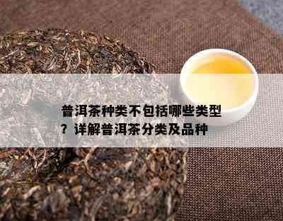 普洱茶种类不包括哪些类型？详解普洱茶分类及品种