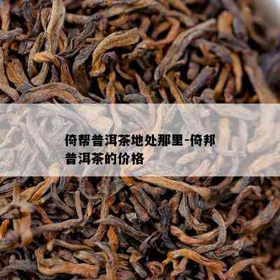 倚帮普洱茶地处那里-倚邦普洱茶的价格