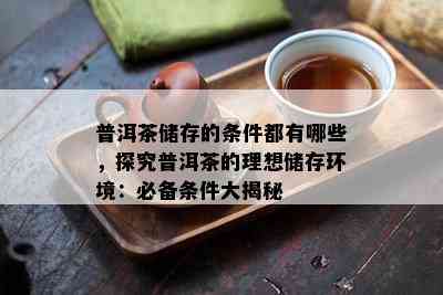 普洱茶储存的条件都有哪些，探究普洱茶的理想储存环境：必备条件大揭秘