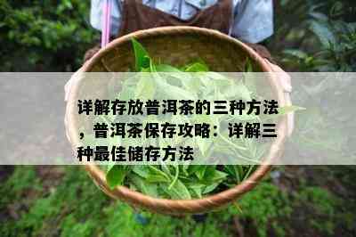 详解存放普洱茶的三种方法，普洱茶保存攻略：详解三种更佳储存方法