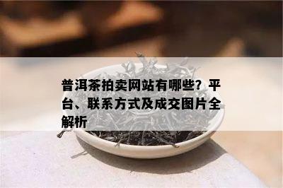 普洱茶拍卖网站有哪些？平台、联系方式及成交图片全解析