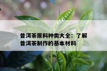 普洱茶原料种类大全：了解普洱茶制作的基本材料