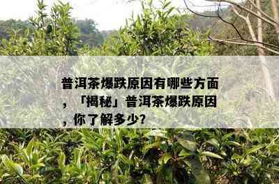 普洱茶爆跌原因有哪些方面，「揭秘」普洱茶爆跌原因，你了解多少？