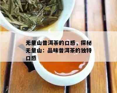 无量山普洱茶的口感，探秘无量山：品味普洱茶的独特口感