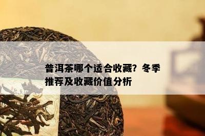 普洱茶哪个适合收藏？冬季推荐及收藏价值分析