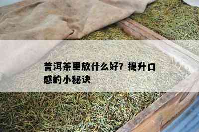 普洱茶里放什么好？提升口感的小秘诀