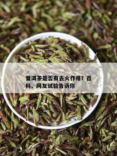 普洱茶是否有去火作用？百科、网友试验告诉你