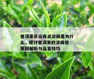 普洱茶舌尖有点凉麻是为什么，探讨普洱茶的凉麻感：原因解析与品鉴技巧