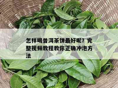 怎样喝普洱茶饼更好呢？完整视频教程教你正确冲泡方法