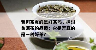 普洱茶真的是好茶吗，探讨普洱茶的品质：它是否真的是一种好茶？