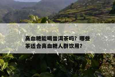 高血糖能喝普洱茶吗？哪些茶适合高血糖人群饮用？