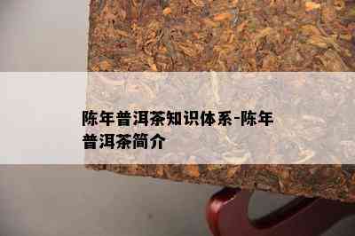 陈年普洱茶知识体系-陈年普洱茶简介