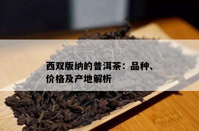 西双版纳的普洱茶：品种、价格及产地解析