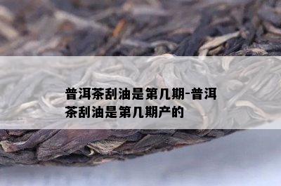 普洱茶刮油是第几期-普洱茶刮油是第几期产的