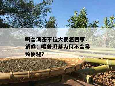 喝普洱茶不拉大便怎回事，解惑：喝普洱茶为何不会导致便秘？