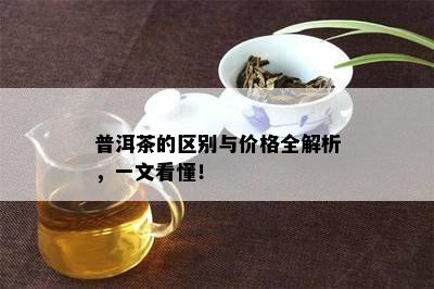 普洱茶的区别与价格全解析，一文看懂！