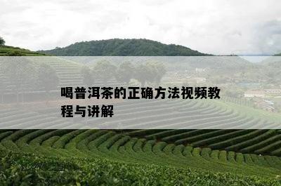 喝普洱茶的正确方法视频教程与讲解