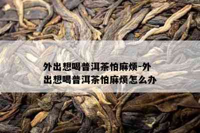 外出想喝普洱茶怕麻烦-外出想喝普洱茶怕麻烦怎么办