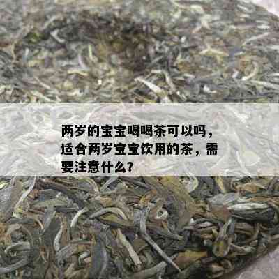 两岁的宝宝喝喝茶可以吗，适合两岁宝宝饮用的茶，需要注意什么？