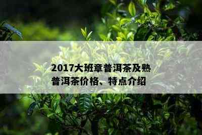 2017大班章普洱茶及熟普洱茶价格、特点介绍