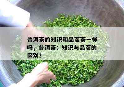 普洱茶的知识和品茗茶一样吗，普洱茶：知识与品茗的区别？