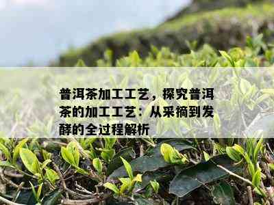 普洱茶加工工艺，探究普洱茶的加工工艺：从采摘到发酵的全过程解析