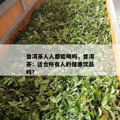 普洱茶人人都能喝吗，普洱茶：适合所有人的健康饮品吗？