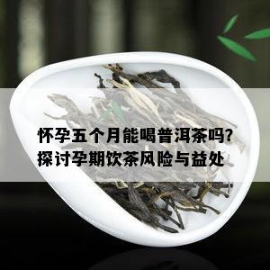 怀孕五个月能喝普洱茶吗？探讨孕期饮茶风险与益处