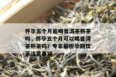 怀孕五个月能喝普洱茶熟茶吗，怀孕五个月可以喝普洱茶熟茶吗？专家解析孕期饮茶注意事项