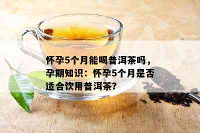 怀孕5个月能喝普洱茶吗，孕期知识：怀孕5个月是否适合饮用普洱茶？