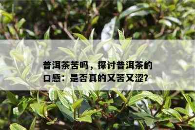 普洱茶苦吗，探讨普洱茶的口感：是否真的又苦又涩？