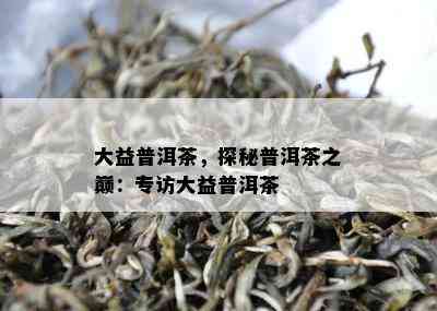 大益普洱茶，探秘普洱茶之巅：专访大益普洱茶