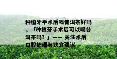 种植牙手术后喝普洱茶好吗，「种植牙手术后可以喝普洱茶吗？」—— 关注术后口腔护理与饮食建议