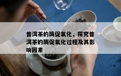 普洱茶的酶促氧化，探究普洱茶的酶促氧化过程及其影响因素