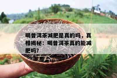 喝普洱茶减肥是真的吗，真相揭秘：喝普洱茶真的能减肥吗？