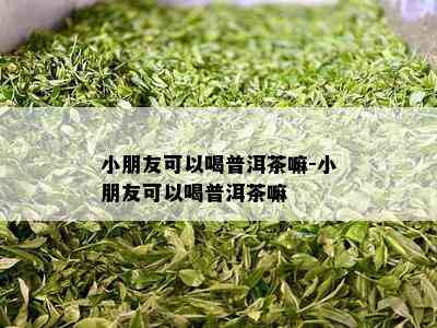 小朋友可以喝普洱茶嘛-小朋友可以喝普洱茶嘛