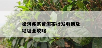 梁河兆宗普洱茶批发电话及地址全攻略