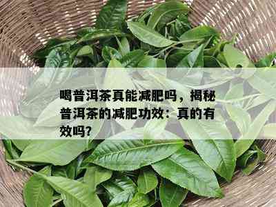 喝普洱茶真能减肥吗，揭秘普洱茶的减肥功效：真的有效吗？