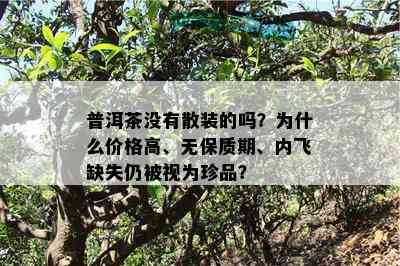 普洱茶没有散装的吗？为什么价格高、无保质期、内飞缺失仍被视为珍品？