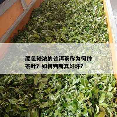 颜色较浓的普洱茶称为何种茶叶？如何判断其好坏？