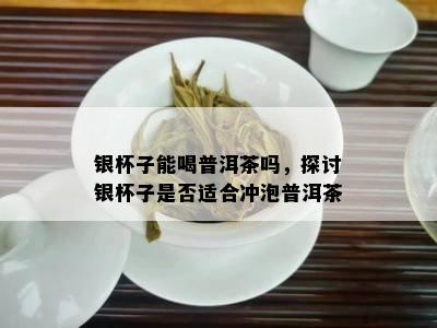 银杯子能喝普洱茶吗，探讨银杯子是否适合冲泡普洱茶