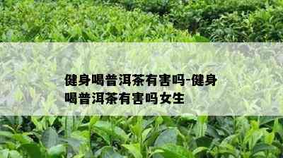 健身喝普洱茶有害吗-健身喝普洱茶有害吗女生