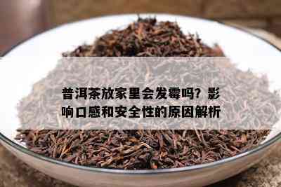 普洱茶放家里会发霉吗？影响口感和安全性的原因解析