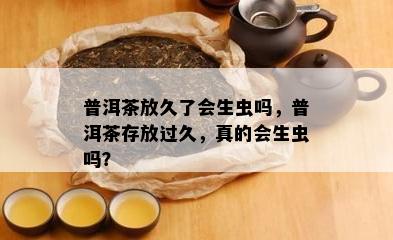 普洱茶放久了会生虫吗，普洱茶存放过久，真的会生虫吗？